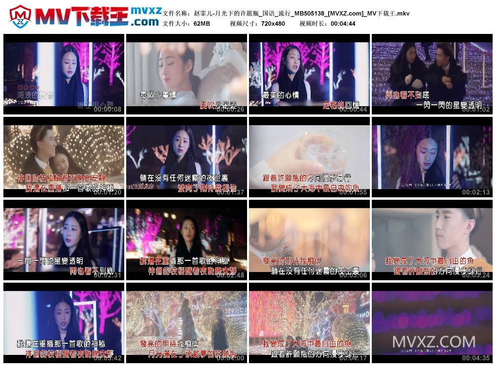 赵霏儿-月光下的许愿瓶_国语_流行_MB505138